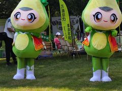 -陆家嘴中心绿地