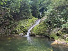 -牛背梁国家森林公园