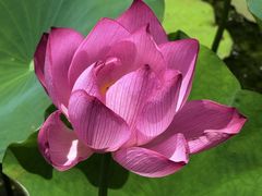 -昆山城市生态森林公园