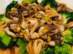 -黄埔华苑酒家(黄埔店)