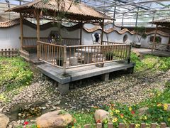 -上海都市菜园