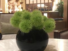 -天屿湖