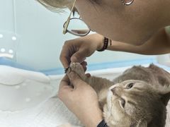 -达爱动物医院·犬猫分区·CT·复杂眼科(远洋山水分院)