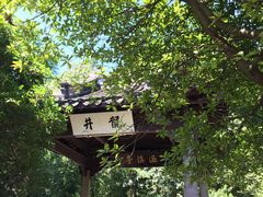 -中国茶叶博物馆(双峰馆区)