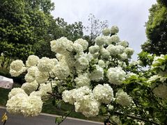 -武汉园博园(武汉自然博物馆)