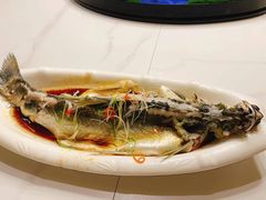 -醉美东江·三文鱼·烧鸡公