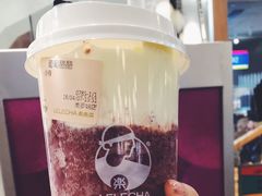 -LELECHA乐乐茶(美罗城店)