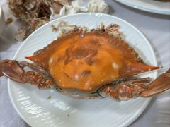 -宾朋海鲜饭庄(兴海路店)