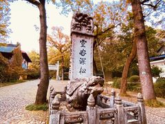 -灵谷景区