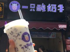 -一只酸奶牛(八一路店)