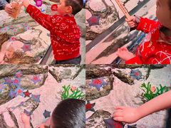 -沈阳海洋探索中心