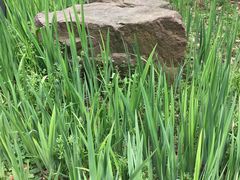 -苏州河梦清园环保主题公园