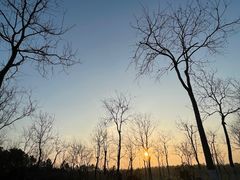 -上海海湾国家森林公园