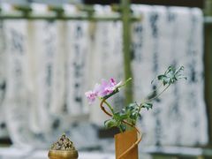 -成都杜甫草堂博物馆