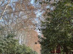 -河南省黄河迎宾馆