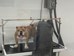 -comecome来吧宠物(奥克斯中心店)