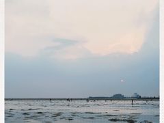 -北海金海湾红树林生态旅游区