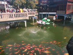 -豫园湖心亭茶楼