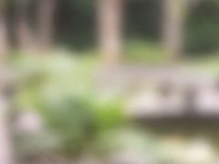 -济州山房山碳酸温泉