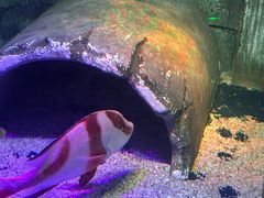 -沈阳海洋探索中心