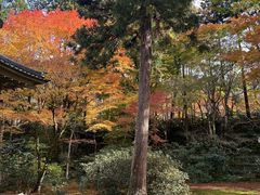 -三千院