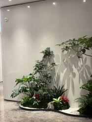 -广州美莱医疗美容医院