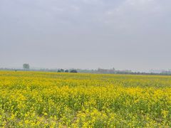 -汉长安城未央宫国家考古遗址公园