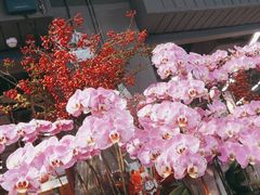 -blt精品超市(KKMALL京基店)