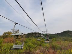 -磬锤峰森林公园