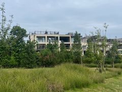 -两河城市森林公园