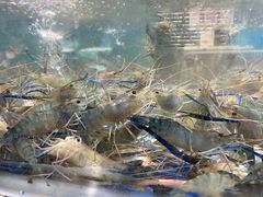 -盒马鲜生(帝斯曼店)