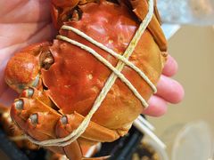 -黄记大闸蟹专卖店·活蟹·醉蟹