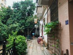 -小洲村