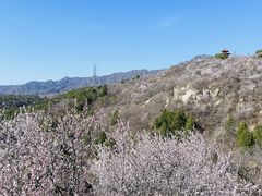 -白水寺森林公园