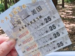-上海滨江森林公园