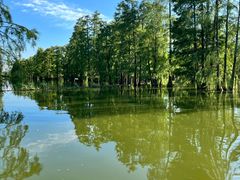 -池杉湖湿地公园