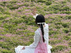 -白鹭湾湿地公园
