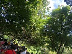 -成都市活水公园