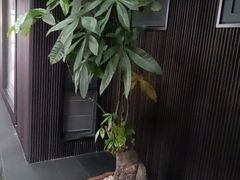 -阿伟海鲜楼·福建菜(涵江店)
