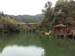-天台国家森林公园水上茶乡九鹏溪