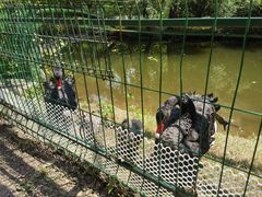 -长白岛森林公园