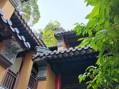 -灵谷景区