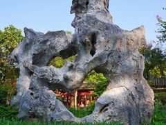 -顺峰山公园