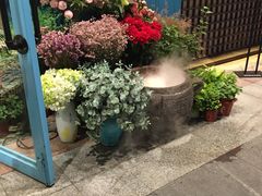 -咕嘟草帽鱼·牛奶一样的鲜鱼汤(天鹅湖万达广场店)