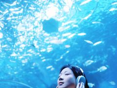 -海合安成都极地海洋公园