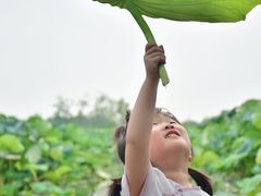 -池杉湖湿地公园