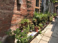 -小洲村