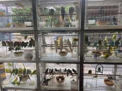 -宠爱我(南山店)