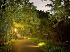 -西郊宾馆-地面停车场