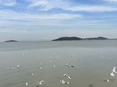 -苏州太湖西山岛开心农场